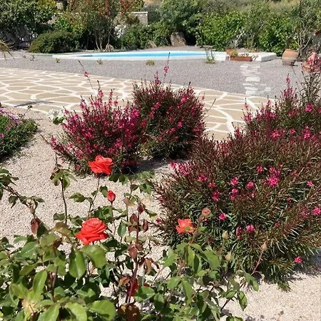 Nastazia קיוטארי
