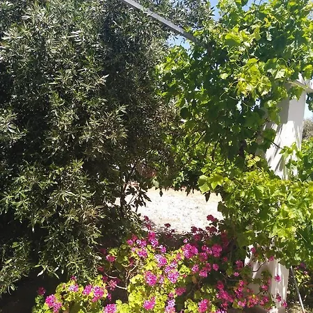 Nastazia * קיוטארי