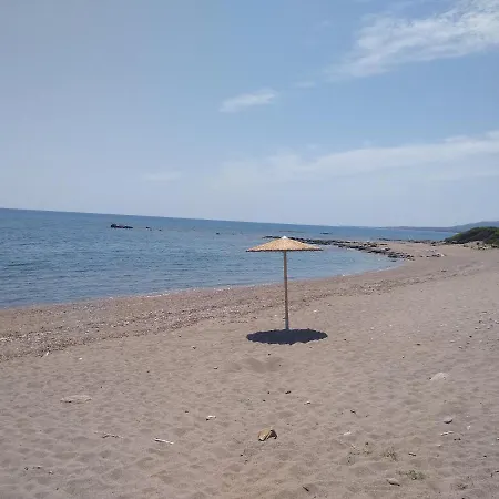 Nastazia *