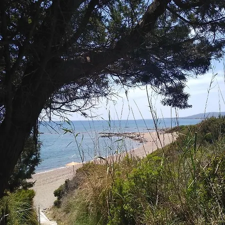 Nastazia Vila *