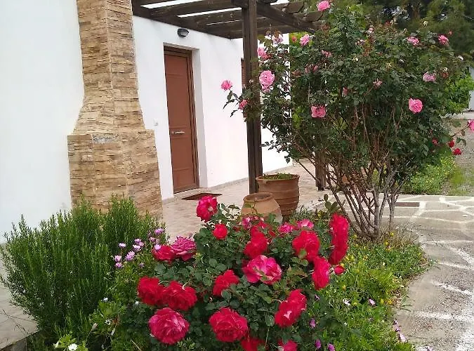 Nastazia Κιοτάρι