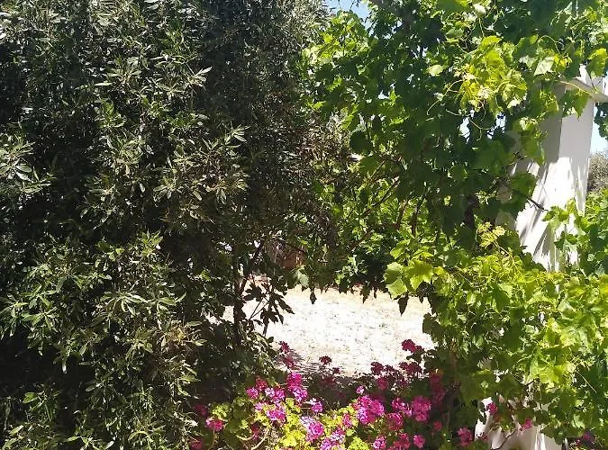 Nastazia * Κιοτάρι