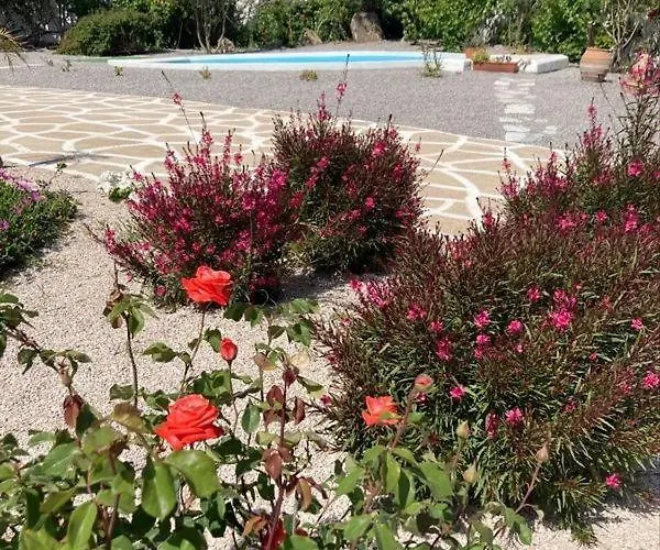 Nastazia 吉奥塔略